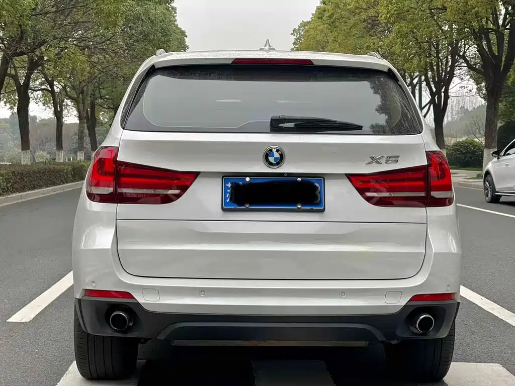 BMW X5 (Import) — миниатюра 5