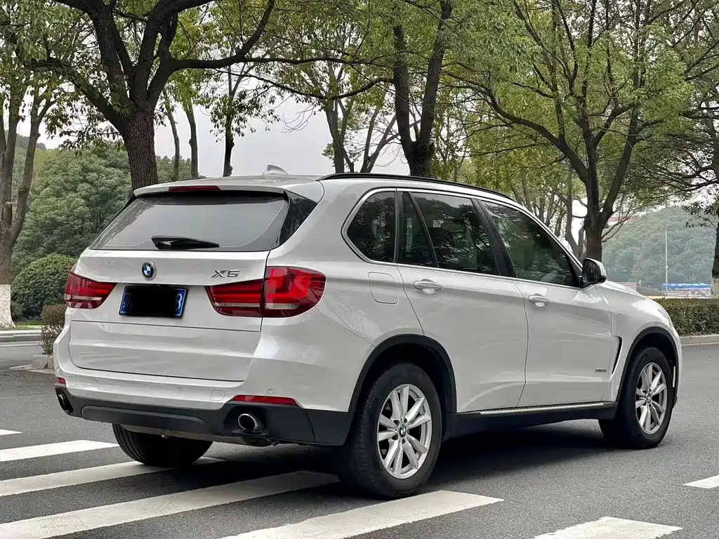 BMW X5 (Import) — миниатюра 6