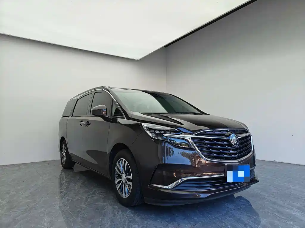 Buick GL8 — миниатюра 3