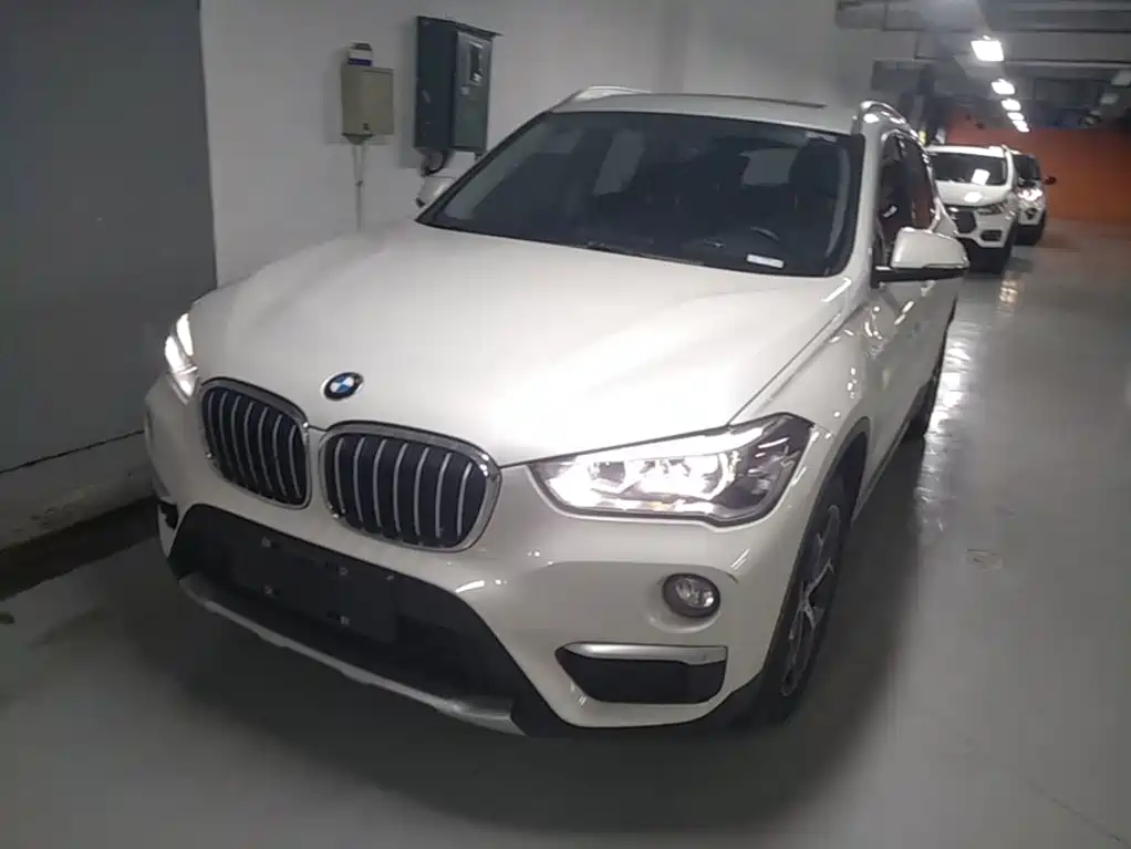 BMW X1 — миниатюра 2