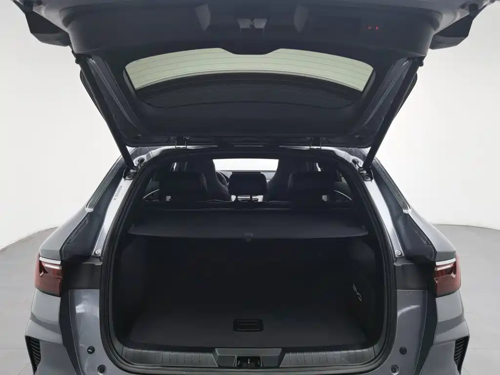 BYD PLUS New Energy — миниатюра 16