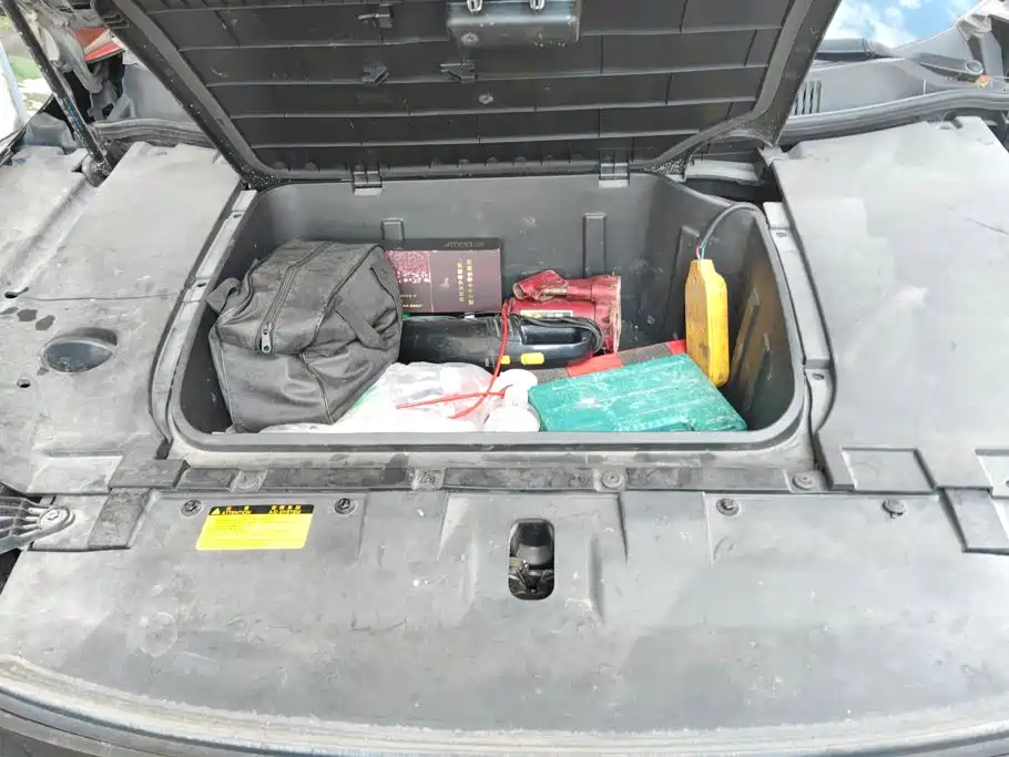WM Motor EX5 — миниатюра 10