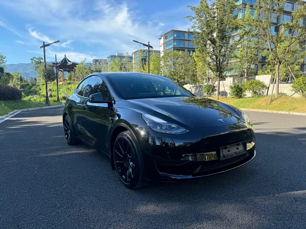 Tesla Model Y — фотографии объявления, Фото 3
