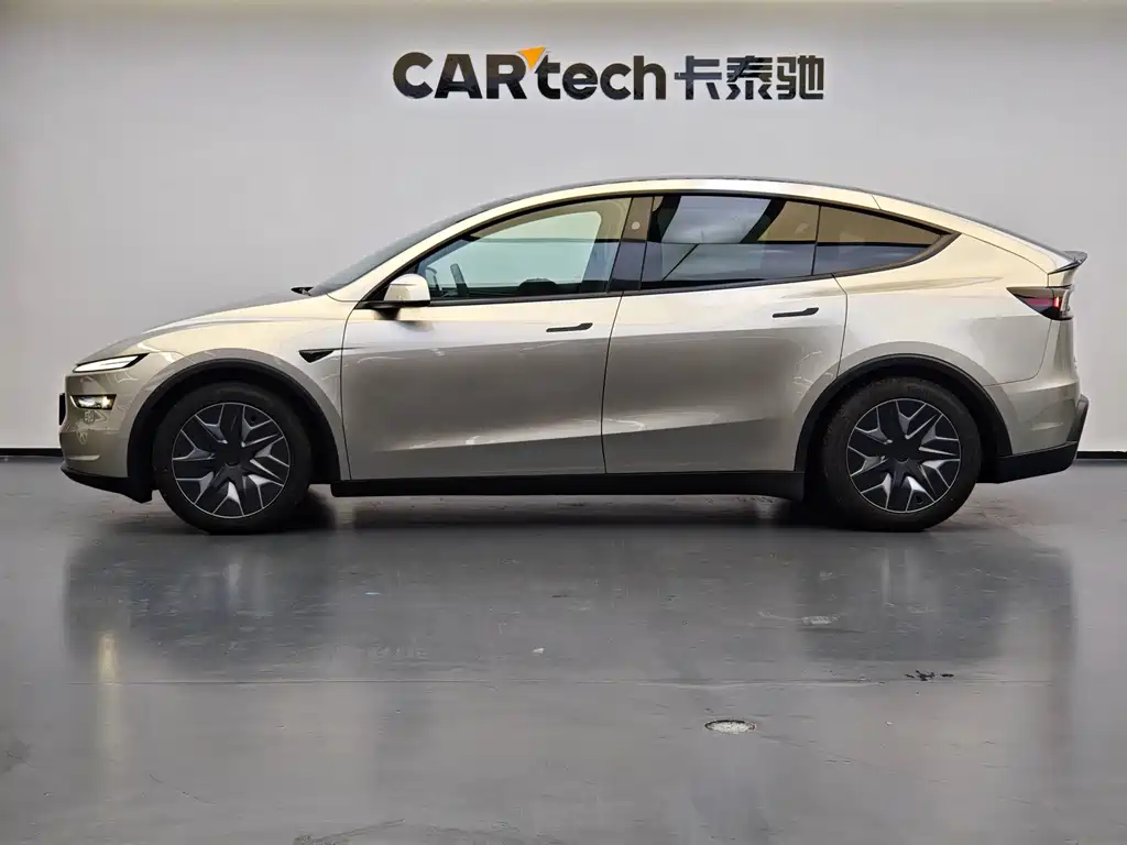 Tesla Model Y L — миниатюра 2
