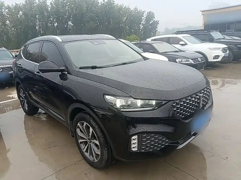 Wey Wey VV6 — миниатюра 4
