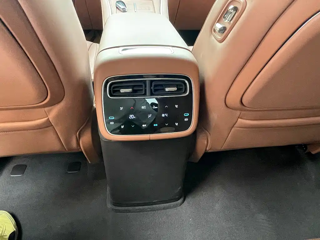 Denza Denza N8L — миниатюра 8