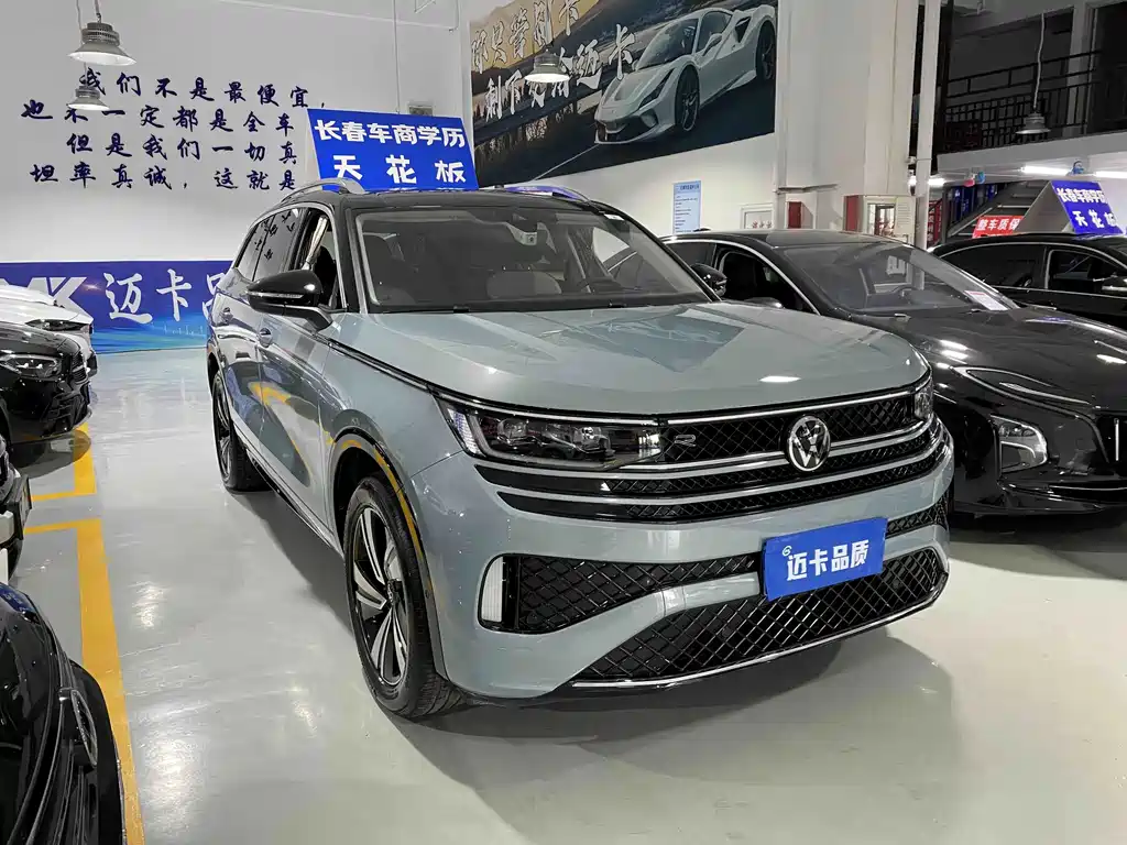 Volkswagen Tavendor — миниатюра 3