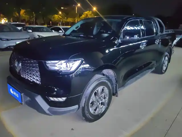 GREAT WALL CANNON 2022