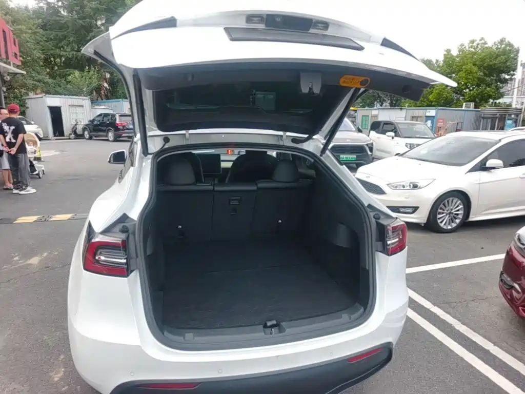 Tesla Model Y — миниатюра 19