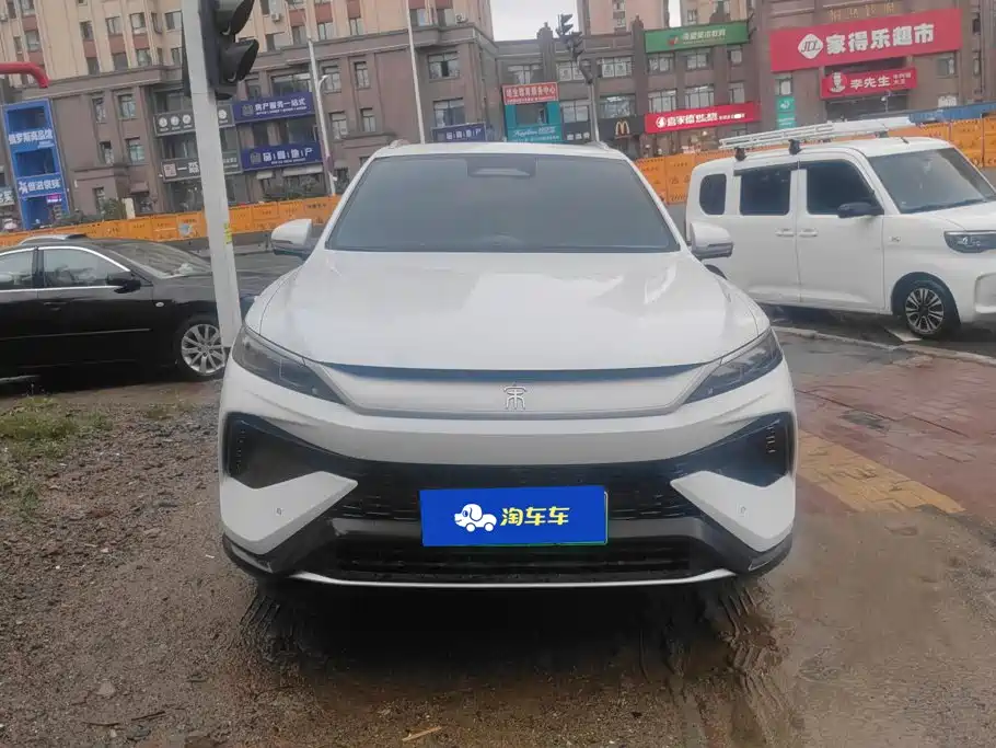 BYD Pro New Energy — миниатюра 2