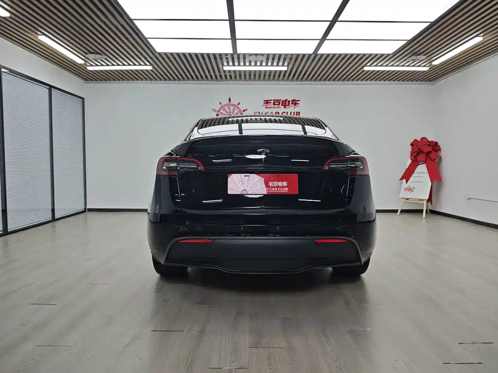 Tesla Model Y — миниатюра 6