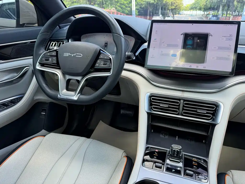 BYD PLUS New Energy — миниатюра 7