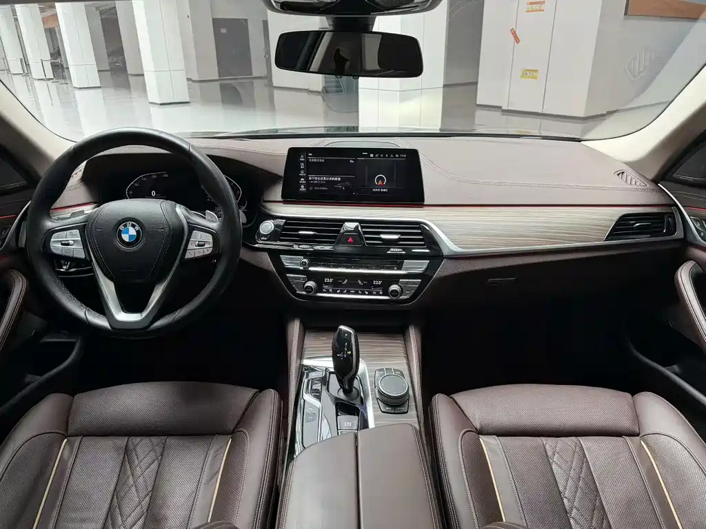 BMW 5 Series 5 2020 530Li Premium Luxury