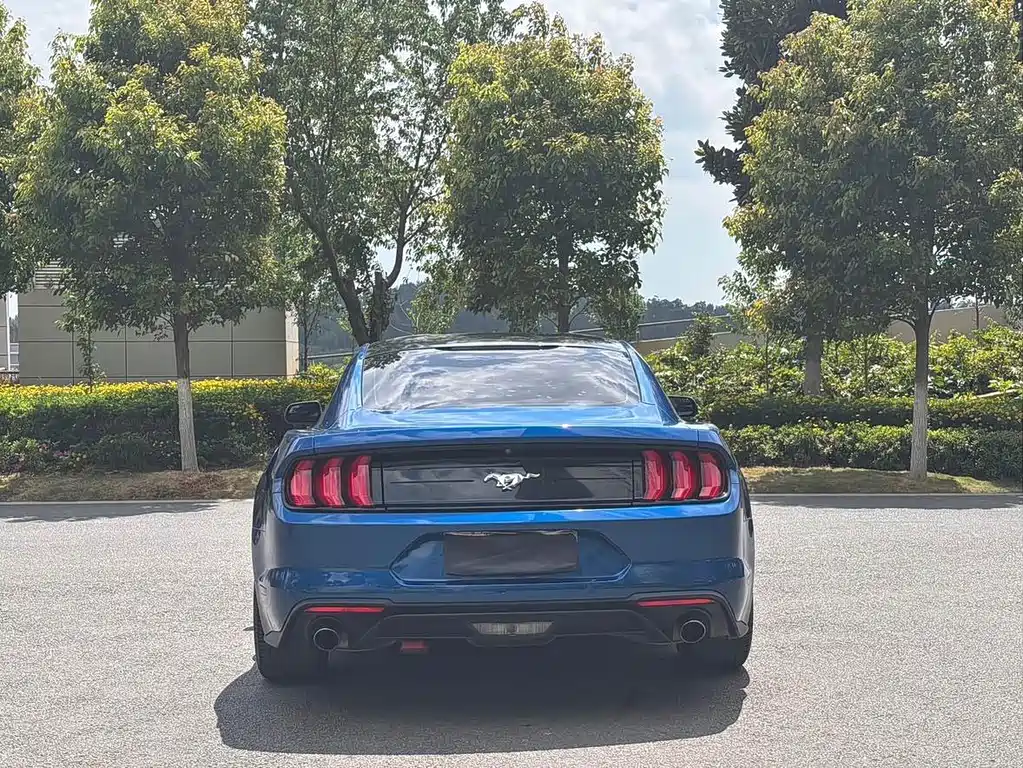 Ford Mustang — миниатюра 6