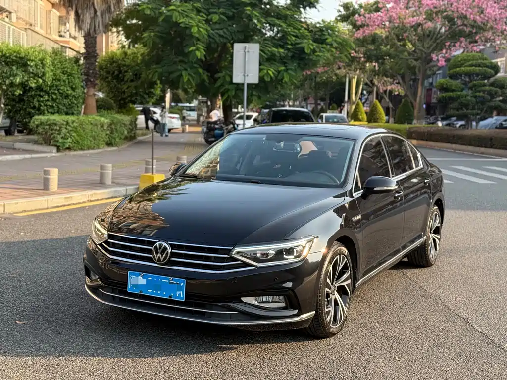 Volkswagen Magotan 2020 330TSI DSG Luxury