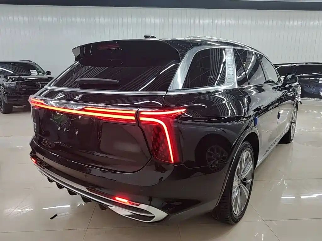 Hongqi Hongqi E-HS9 — миниатюра 7