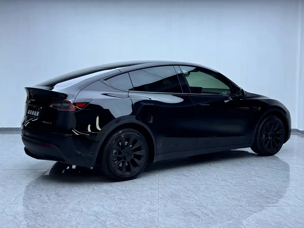 Tesla Model Y — миниатюра 16