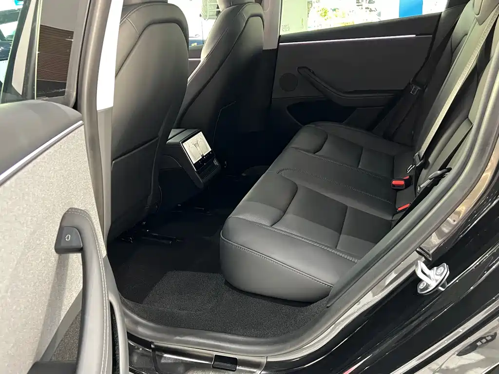 Tesla Model 3 — миниатюра 8