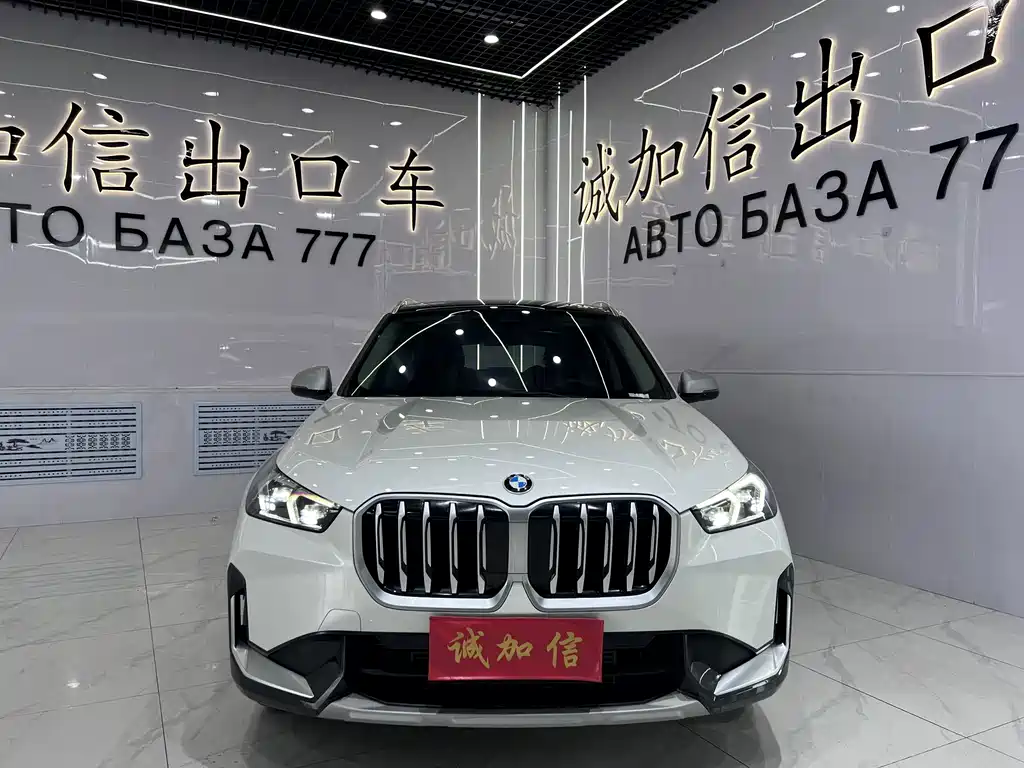 BMW X1 — миниатюра 2