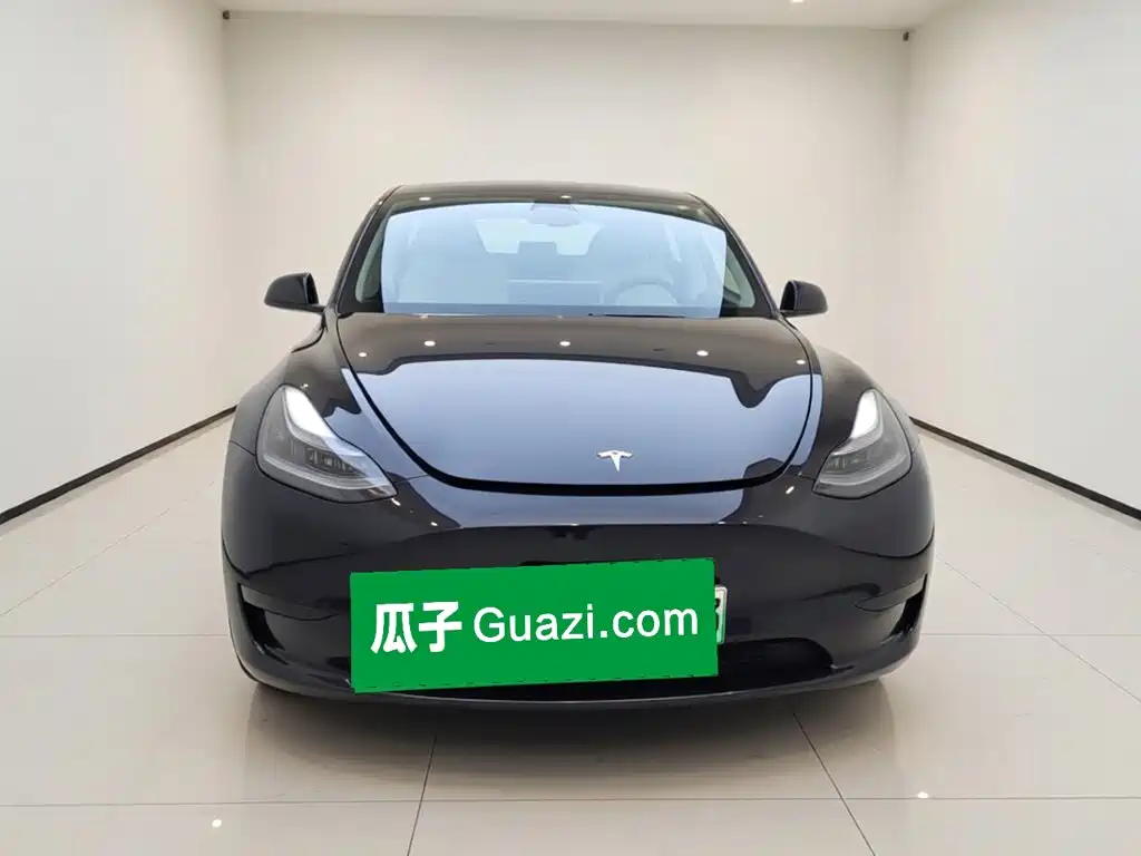 Tesla Model Y — миниатюра 2