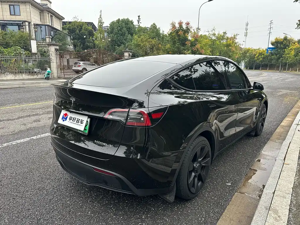 Tesla Model Y — миниатюра 11