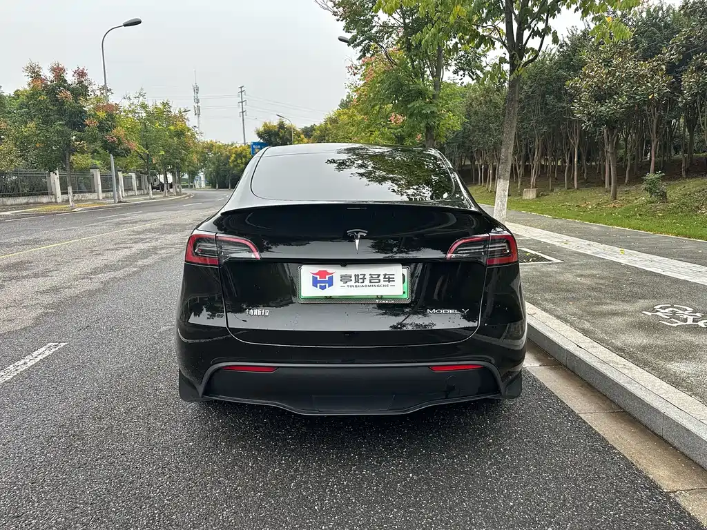 Tesla Model Y — миниатюра 12