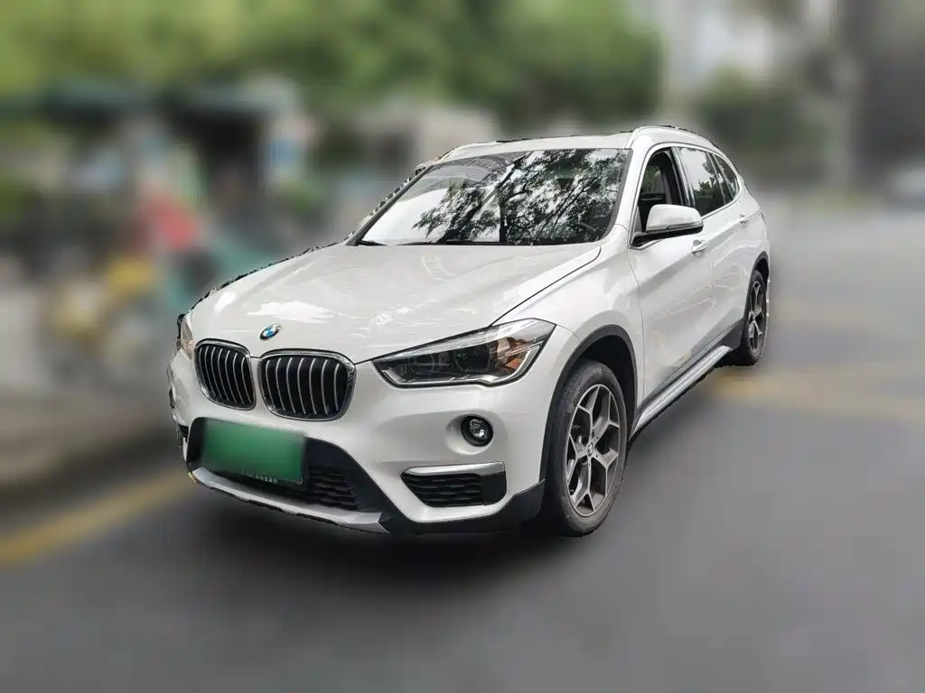 BMW X1 — миниатюра 2