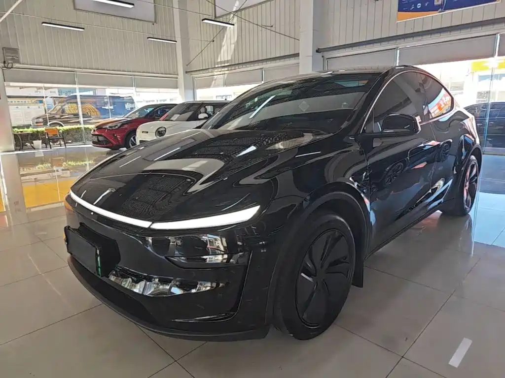 Tesla Model Y — миниатюра 2