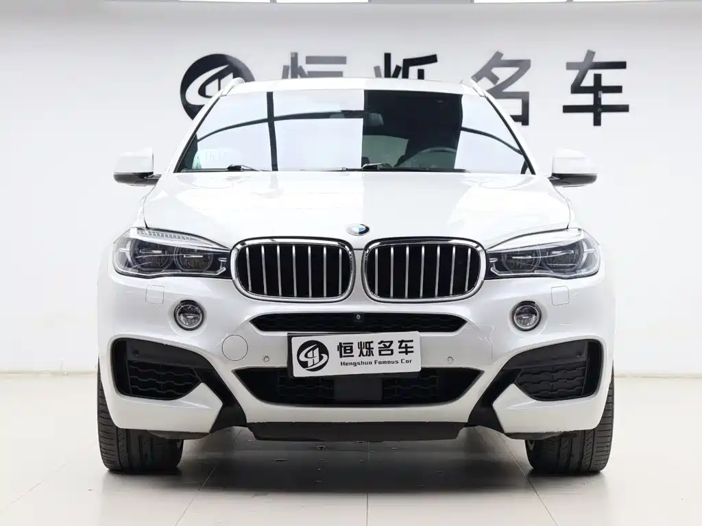 BMW X6 — миниатюра 31