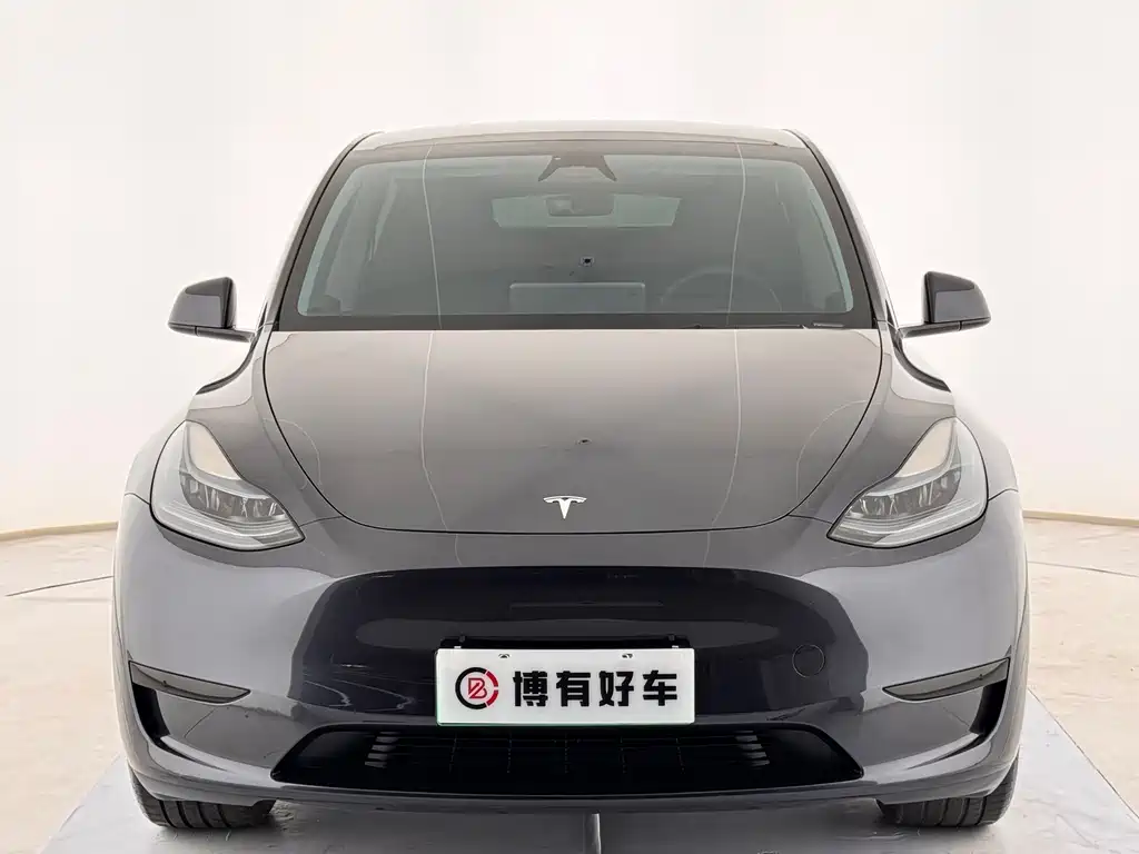 Tesla Model Y — миниатюра 2