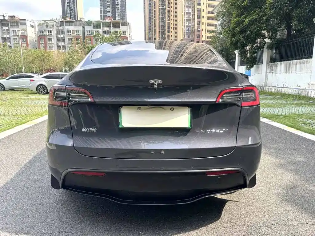 Tesla Model Y — миниатюра 8