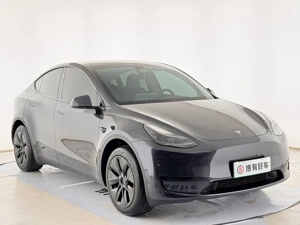Tesla Model Y — миниатюра 4