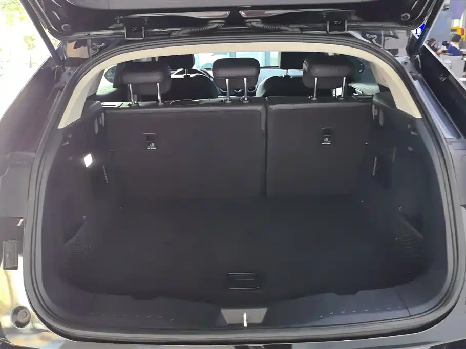 WEI PAI WEI BRAND VV5