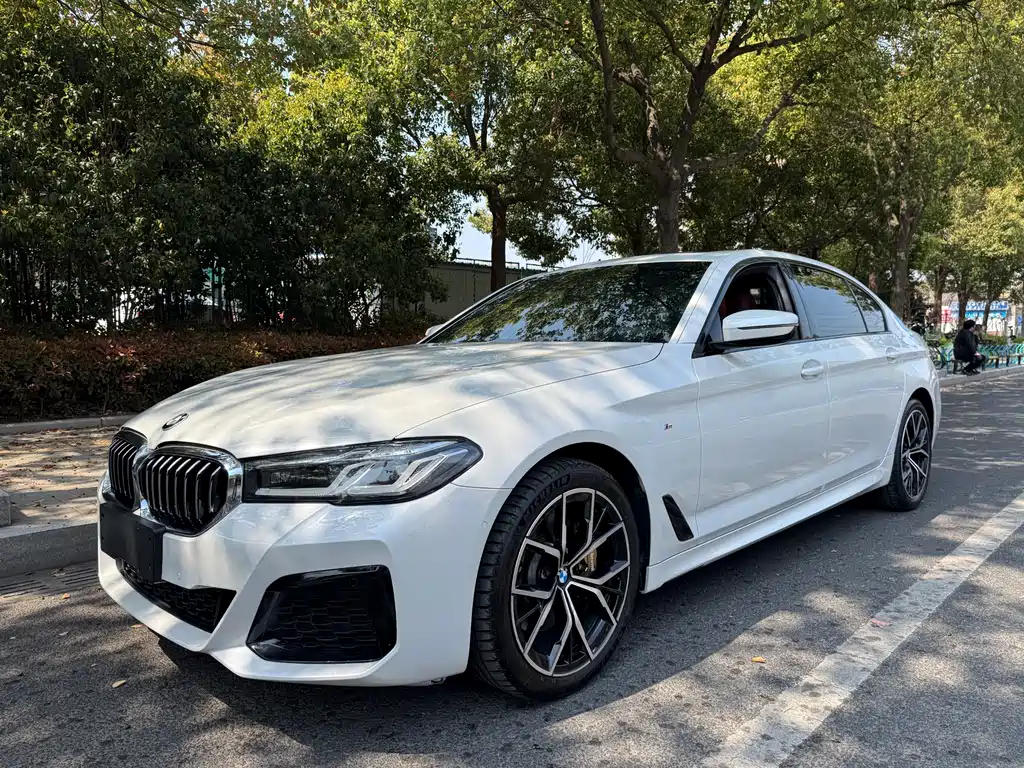 BMW 5 Series 2019