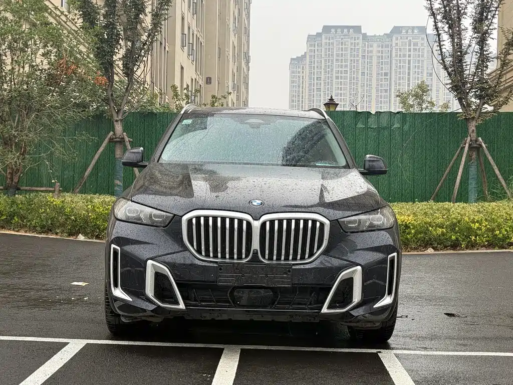 BMW X5 — миниатюра 2