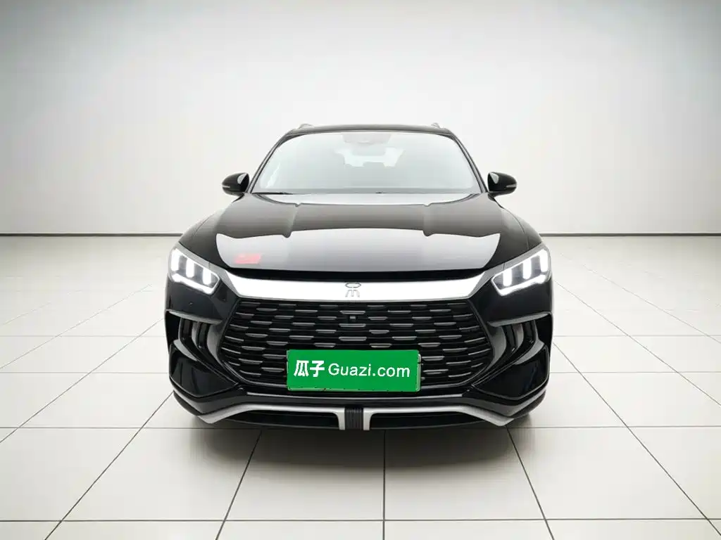 BYD Pro New Energy — миниатюра 2