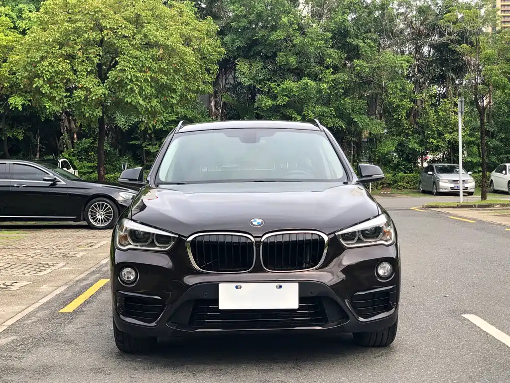 BMW X1 — миниатюра 2