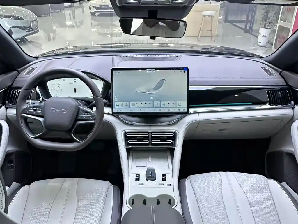 BYD PLUS New Energy — миниатюра 8