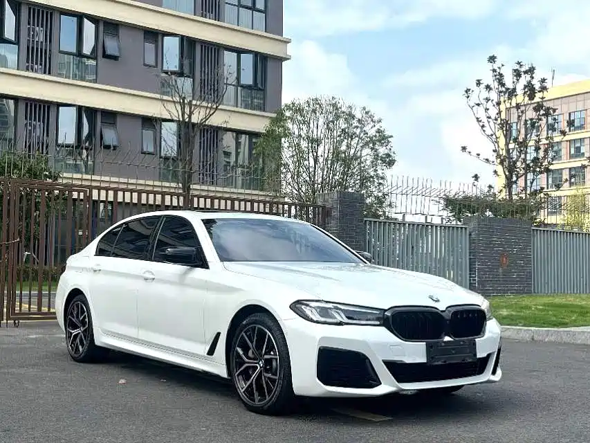 BMW 5 Series — миниатюра 3