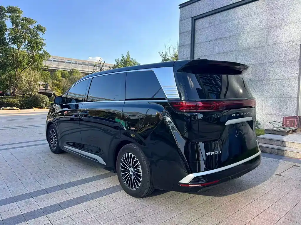 Denza Denza D9 — миниатюра 5