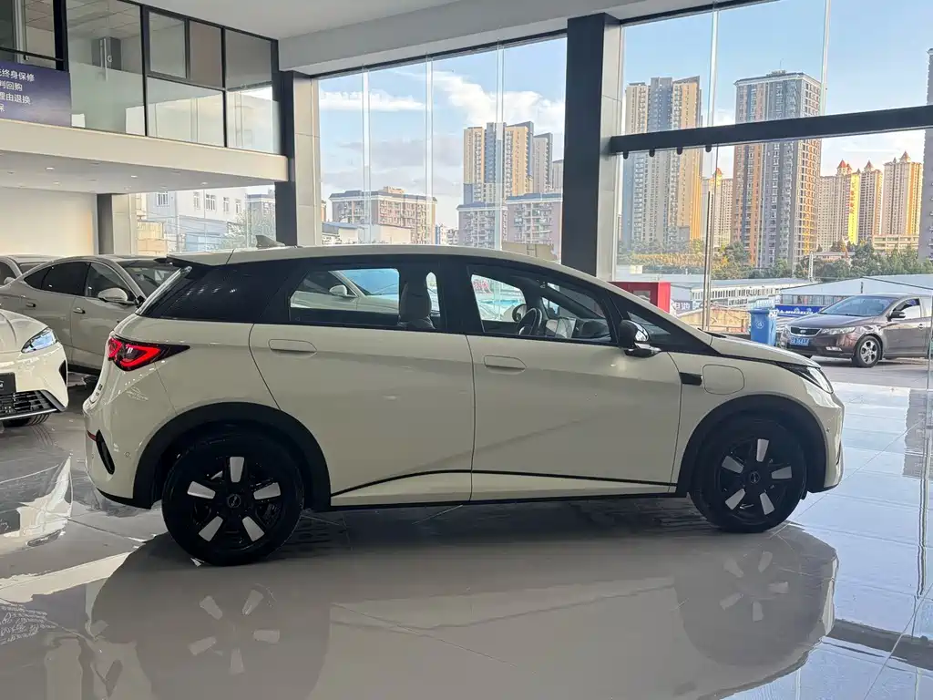 BYD Dolphin — миниатюра 6