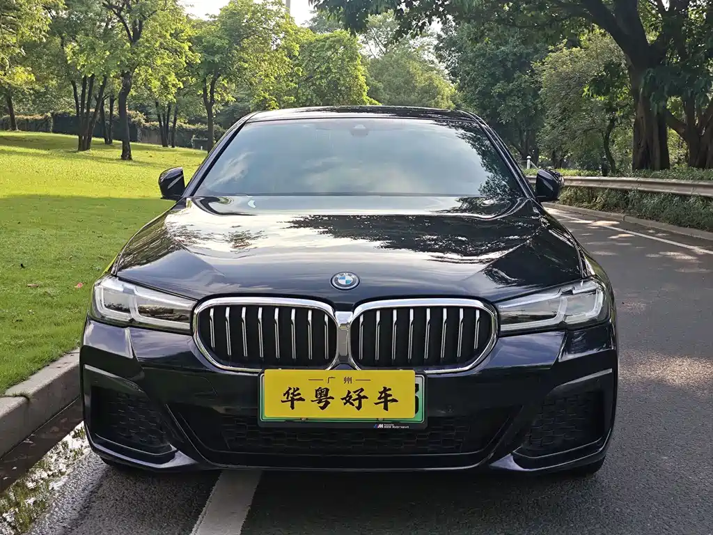 BMW 5 Series New Energy — миниатюра 2