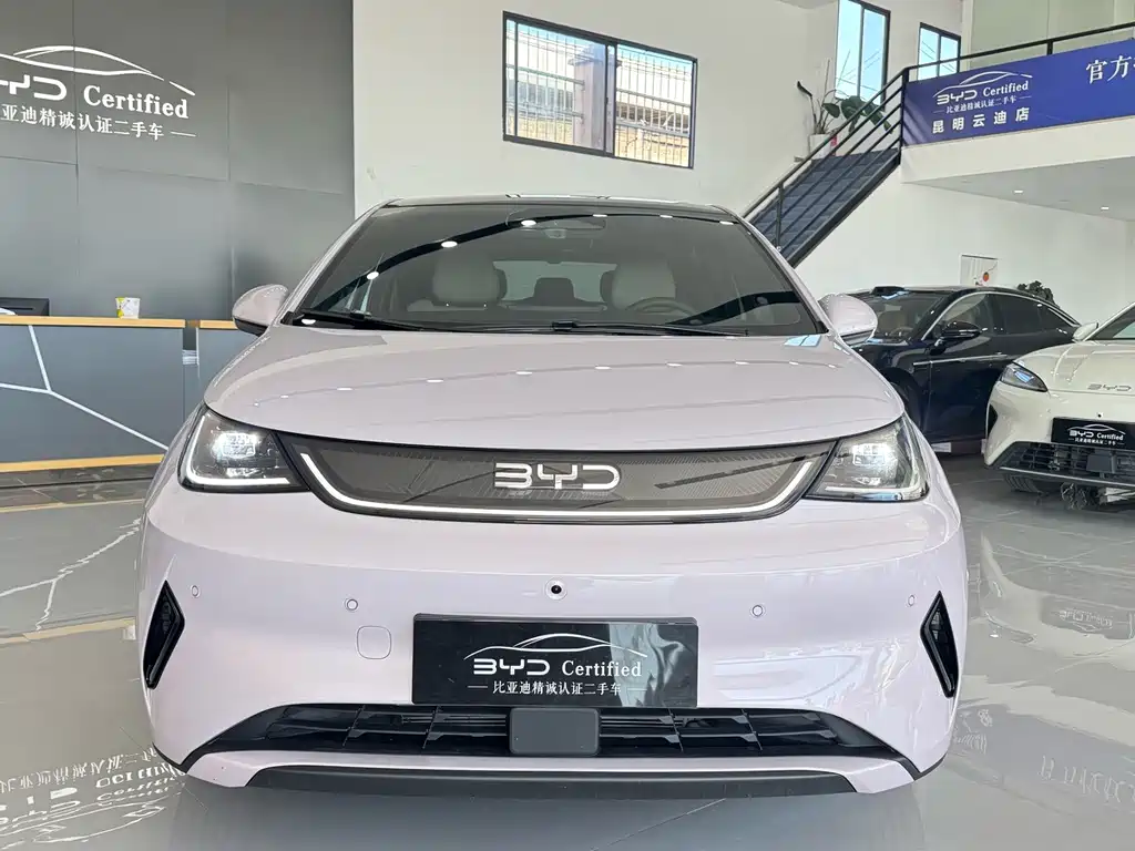 BYD Dolphin — миниатюра 2