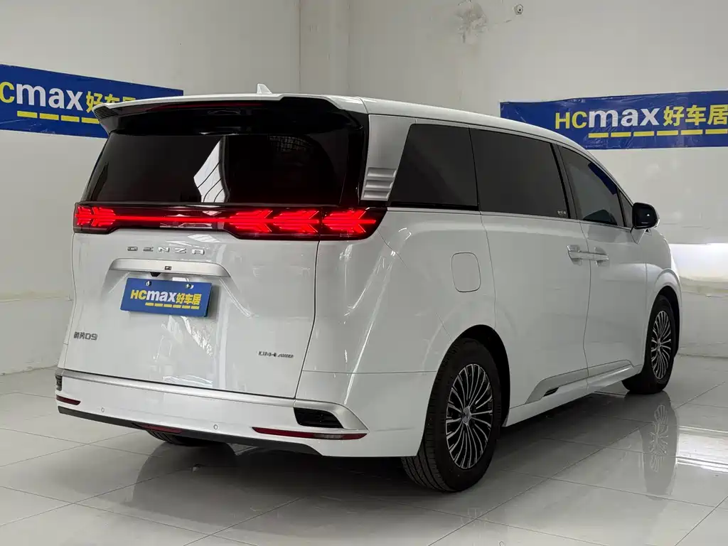 Denza Denza D9 — миниатюра 6
