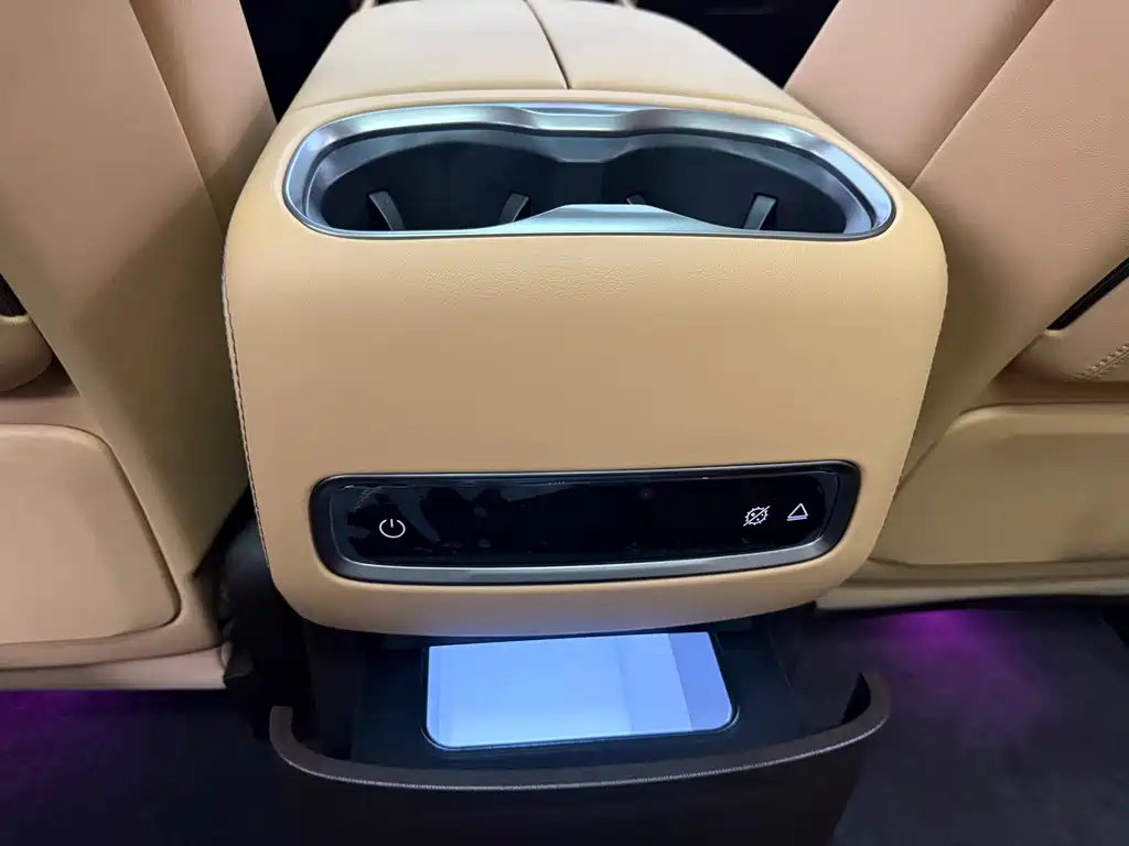 Denza Denza D9 — миниатюра 17