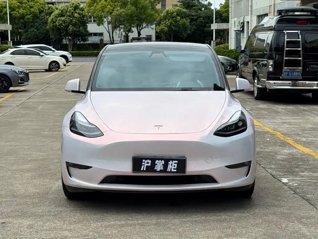 Tesla Model Y 2021 Performance