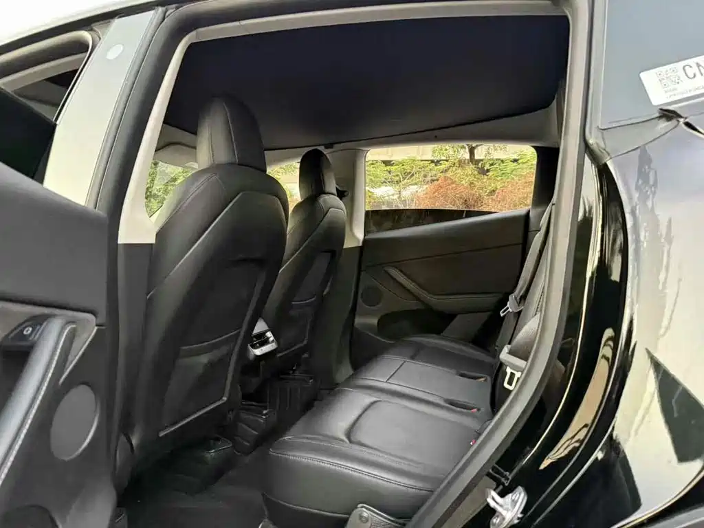 Tesla Model Y — миниатюра 6