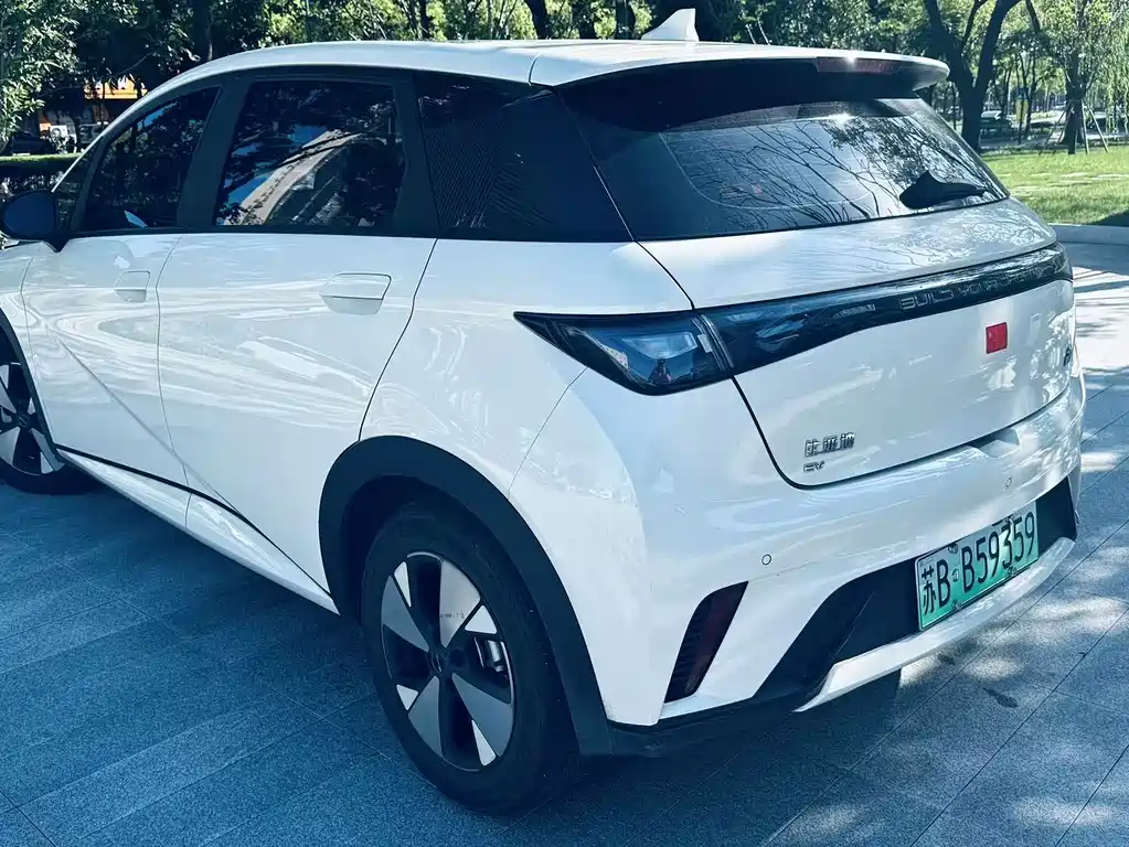 BYD Dolphin 2023 420km Fashion