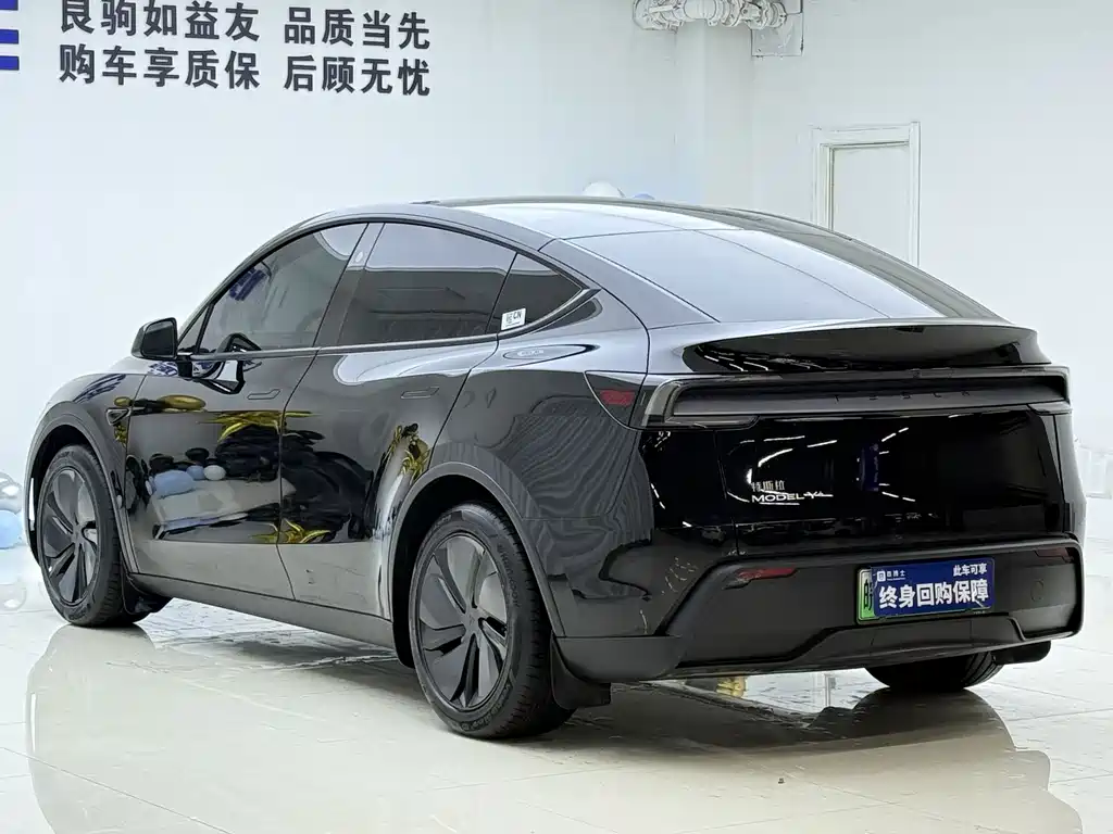 Tesla Model Y — миниатюра 7