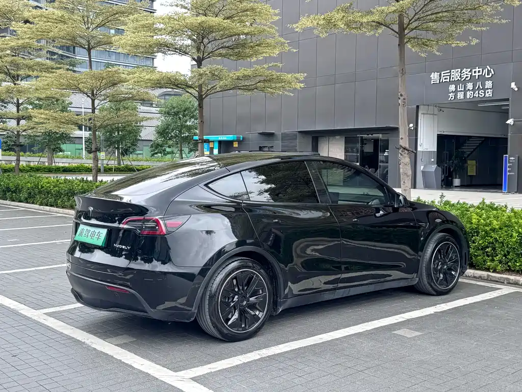 Tesla Model Y — миниатюра 6